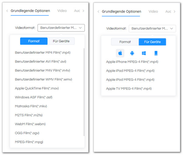 Videoformat