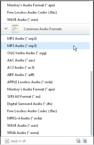 Video Output Önayarlar